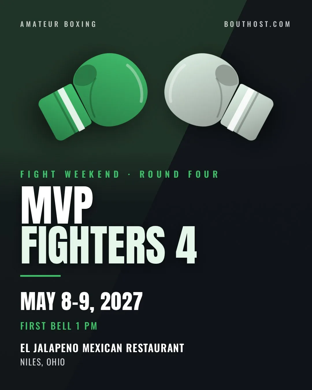 Poster for MVP Fighters 4